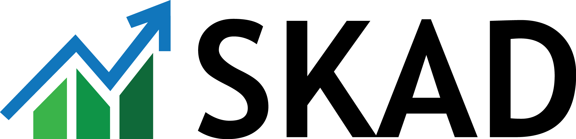 Logo SKAD